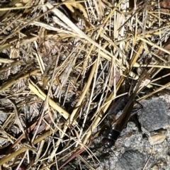 Unidentified at suppressed - 22 Mar 2023