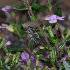 Unidentified at suppressed - 27 Mar 2023