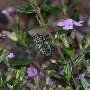 Unidentified at suppressed - 27 Mar 2023