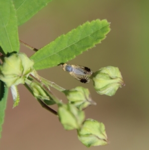 Unidentified at suppressed - 5 Apr 2023