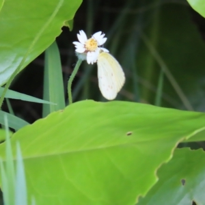 Unidentified at suppressed - 31 Mar 2023