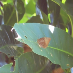 Unverified at suppressed - suppressed