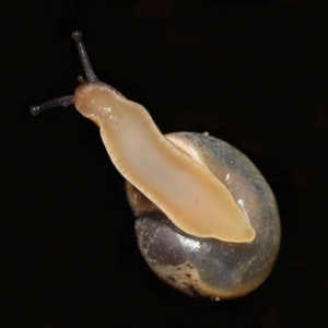 Unidentified at suppressed - 8 Apr 2023