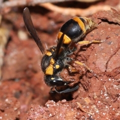 Unidentified at suppressed - 12 Apr 2023