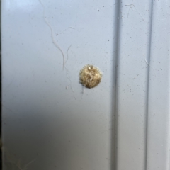 Unidentified at suppressed - 13 Apr 2023