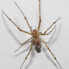 Unverified at suppressed - suppressed