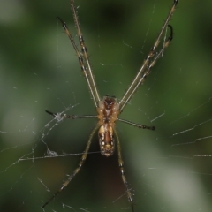 Unidentified at suppressed - 15 Apr 2023