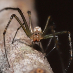 Unidentified at suppressed - 15 Apr 2023