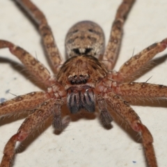 Unidentified at suppressed - 16 Apr 2023