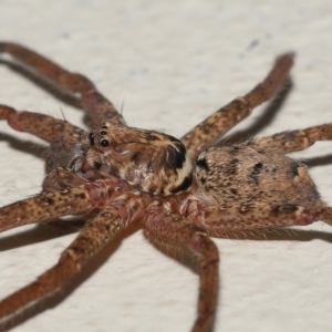 Unidentified at suppressed - 16 Apr 2023