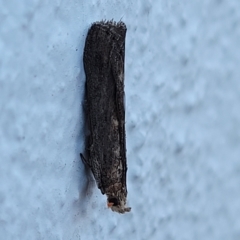 Unidentified at suppressed - 18 Apr 2023