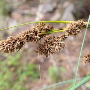 Unidentified at suppressed - 18 Apr 2023