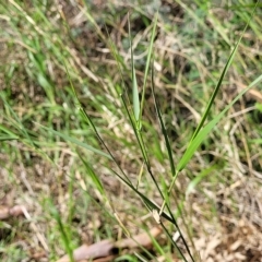 Unverified at suppressed - suppressed