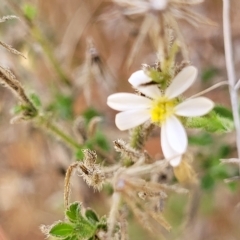 Unidentified at suppressed - 18 Apr 2023