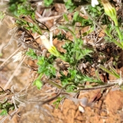 Unverified at suppressed - suppressed