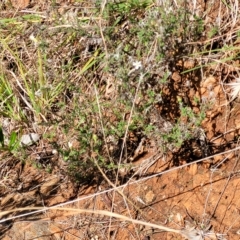 Unverified at suppressed - suppressed