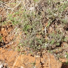 Unverified at suppressed - suppressed