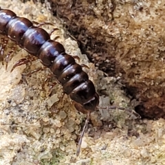 Unverified at suppressed - suppressed