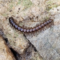 Unverified at suppressed - suppressed