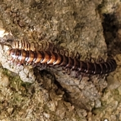 Unverified at suppressed - suppressed