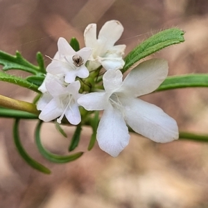 Unidentified at suppressed - 18 Apr 2023