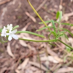 Unidentified at suppressed - 18 Apr 2023