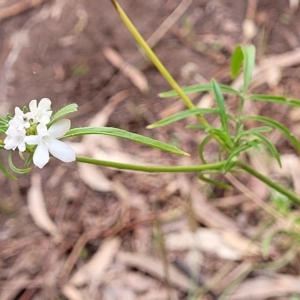 Unidentified at suppressed - 18 Apr 2023