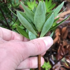 Unidentified at suppressed - 11 Apr 2023