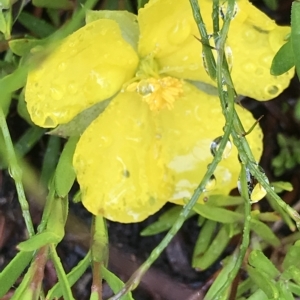 Unidentified at suppressed - 11 Apr 2023