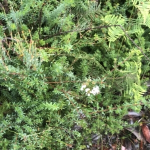 Unidentified at suppressed - 11 Apr 2023