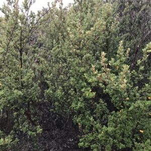 Unidentified at suppressed - 11 Apr 2023