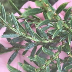 Unidentified at suppressed - 10 Apr 2023