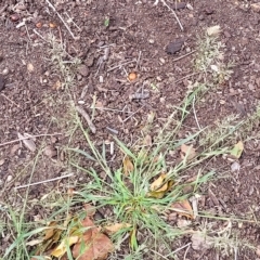 Unidentified at suppressed - 20 Apr 2023