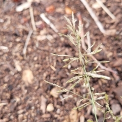Unidentified at suppressed - 20 Apr 2023