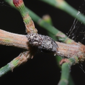 Unidentified at suppressed - 20 Apr 2023