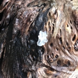 Unidentified at suppressed - 13 Apr 2023