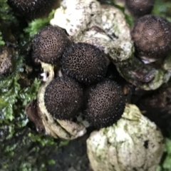 Unidentified at suppressed - 13 Apr 2023