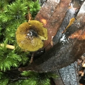 Unidentified at suppressed - 13 Apr 2023