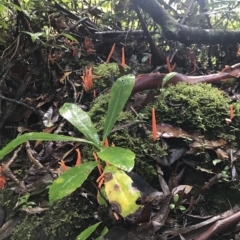 Unidentified at suppressed - 13 Apr 2023
