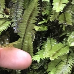 Unverified at suppressed - suppressed