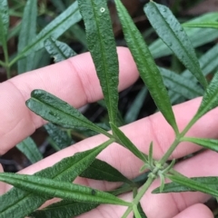 Unidentified at suppressed - 11 Apr 2023