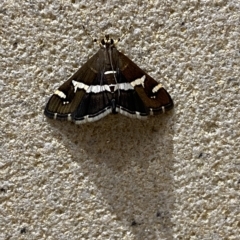 Unidentified at suppressed - 23 Apr 2023