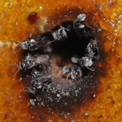 Unverified at suppressed - suppressed