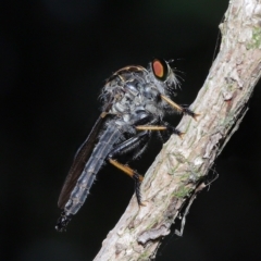 Unverified at suppressed - suppressed