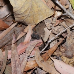 Unidentified at suppressed - 26 Apr 2023