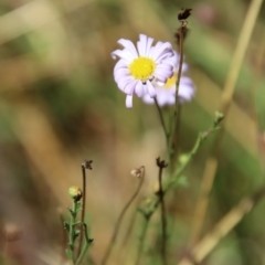 Unidentified at suppressed - 27 Apr 2023