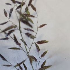 Unidentified at suppressed - 28 Apr 2023