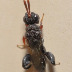 Unverified at suppressed - suppressed