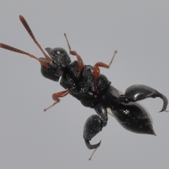 Unverified at suppressed - suppressed