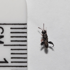 Unverified at suppressed - suppressed